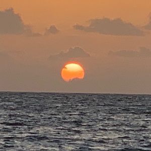 Meet your Posher, Todd